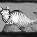 Lionfish avatar
