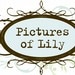 PicturesofLily avatar