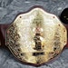 Championshipbelts99