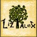 LizAndAlexDesigns