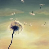 DandelionWishesCC