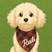 Buyer Avatar
