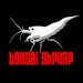 Bonsai Shrimp