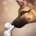Buyer Avatar