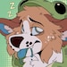Buyer Avatar