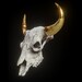 Skulls in Bold