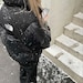 aktrash
