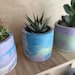 concreteplantstore