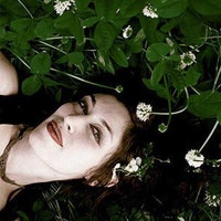 IntoTheForestNY