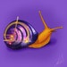 A Cosmic Snail avatar