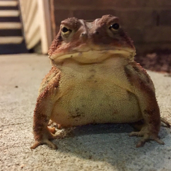 Alluminio EN AW 6063 - Ambrogio Colombo - Foto 5