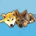 KomachiDog