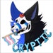 Buyer Avatar