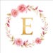 EviviArt