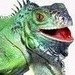 LizardQueenJewelry avatar