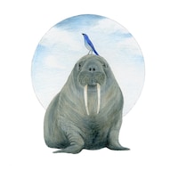 MontyandtheWalrus