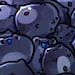 PondHQ