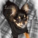 TinyKiku avatar