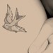 Buyer Avatar