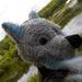 Buyer Avatar
