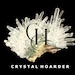 CrystalHoarder1111