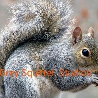 GreySquirrelStudio