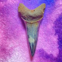 YouMakoMeCrazyUS