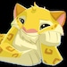 Buyer Avatar