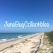 JuneBugCollectibles