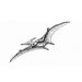 The Teredactyl Store