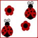 Gwen McCrory avatar