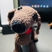 Buyer Avatar