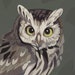 Buyer Avatar