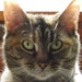 Gayle Neely avatar