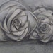 Amanda C