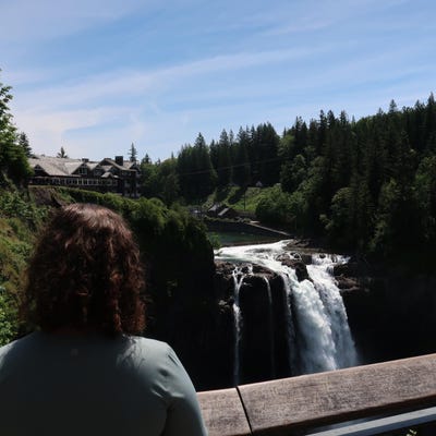 alana's profile picture