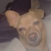 Tyler