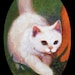 Buyer Avatar