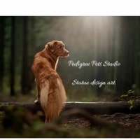 PedigreePetsStudio