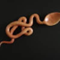 Spoontaneous