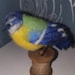 Buyer Avatar