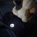 Buyer Avatar