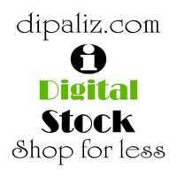 IDigitalStockStore