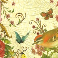 RosesAndButterflies