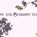 Rust and Stardust Vintage