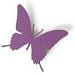FashionTouchSupplies