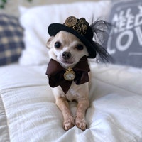 PippingtonByPiper