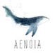 Aenoia