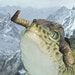 Buyer Avatar