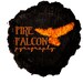 Fire Falcon Pyrography